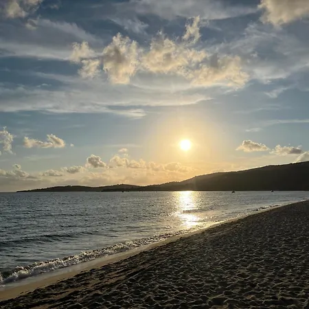 Maison 30 Metres De La Serra-di-Ferro (Corsica)