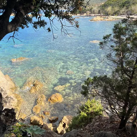 Maison 30 Metres De La Serra-di-Ferro (Corsica)