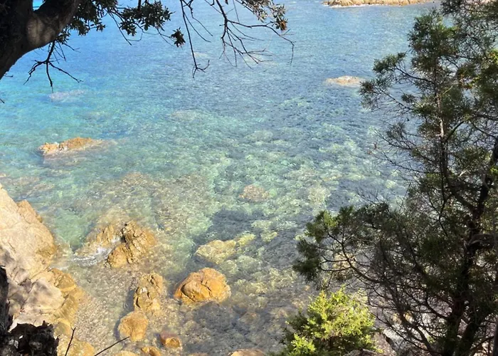 Maison 30 Metres De La 赛拉蒂费罗